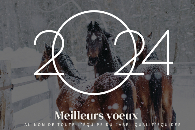 Bonne année 2024 !