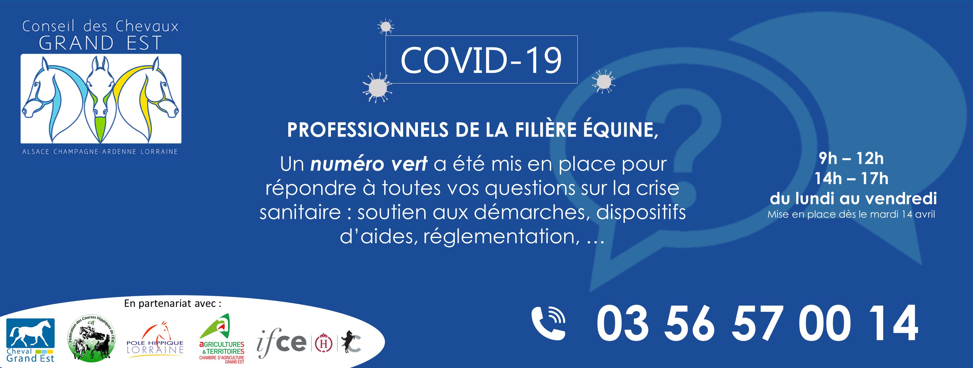 Covid-19 : le Conseil des Chevaux du Grand Est met en place un numéro vert : 03 56 57 00 14