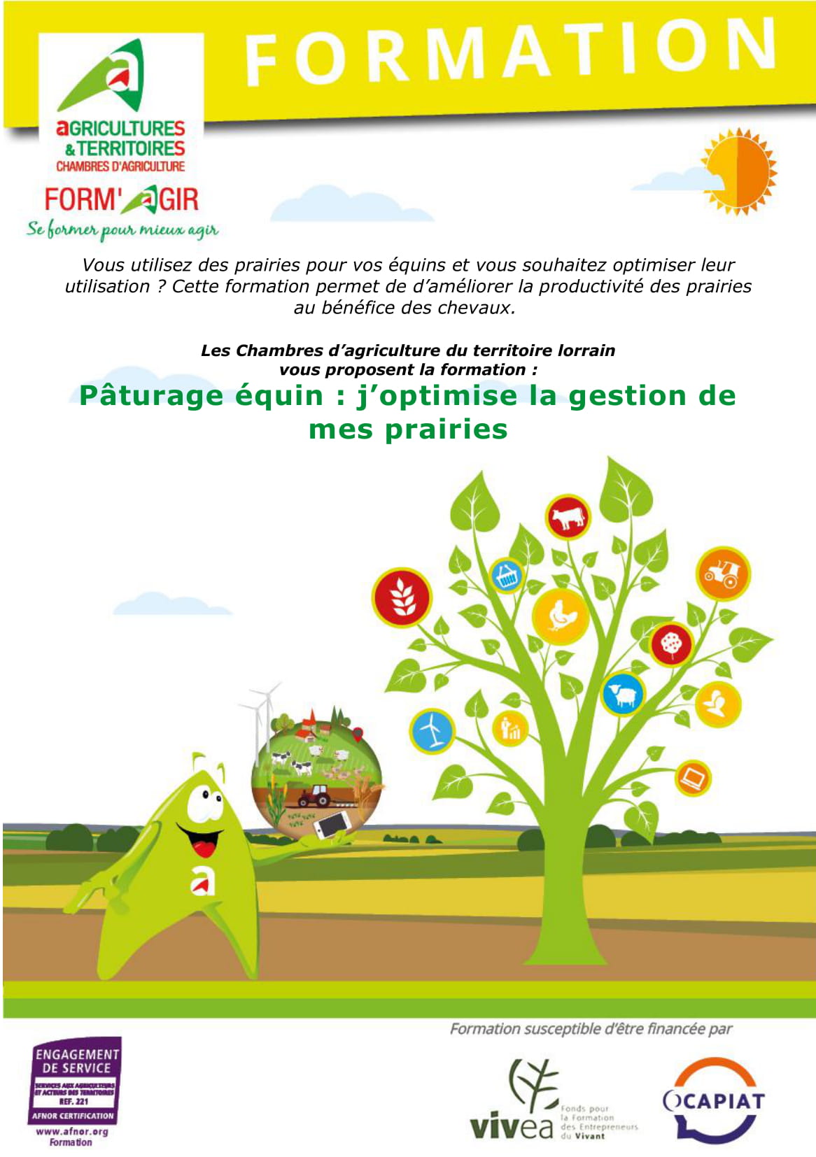 Formation Pâturage équin : j'optimise la gestion de mes prairies