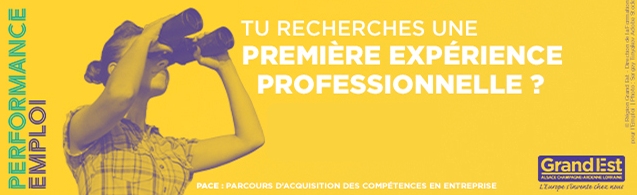 Le PACE : Parcours d'Acquisition des Compétences en Entreprise