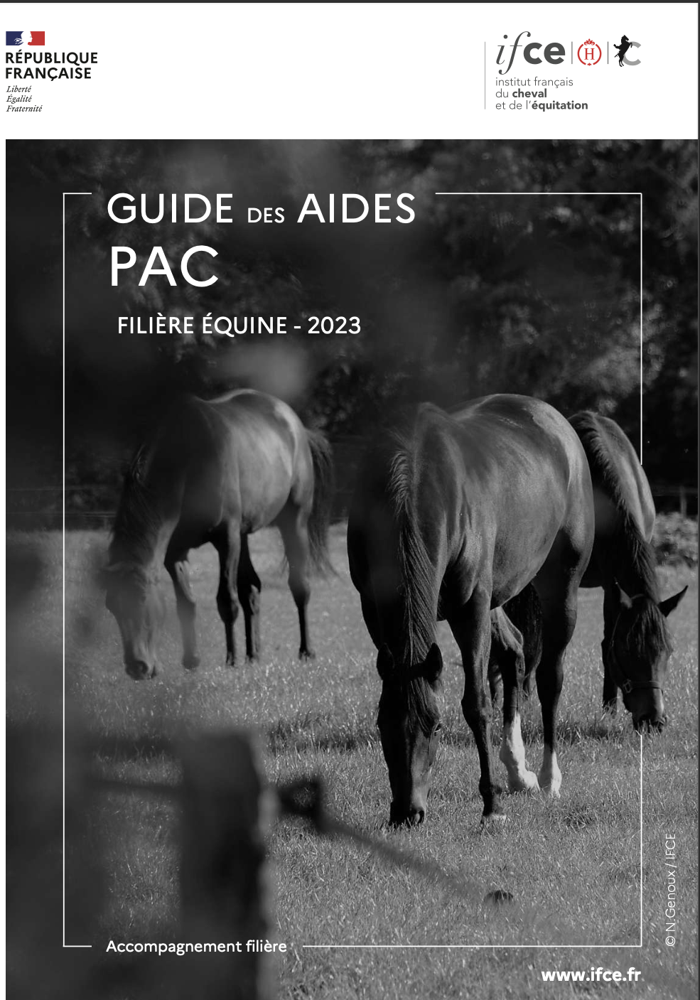 Le Guide des aides PAC de la filière équine est disponible