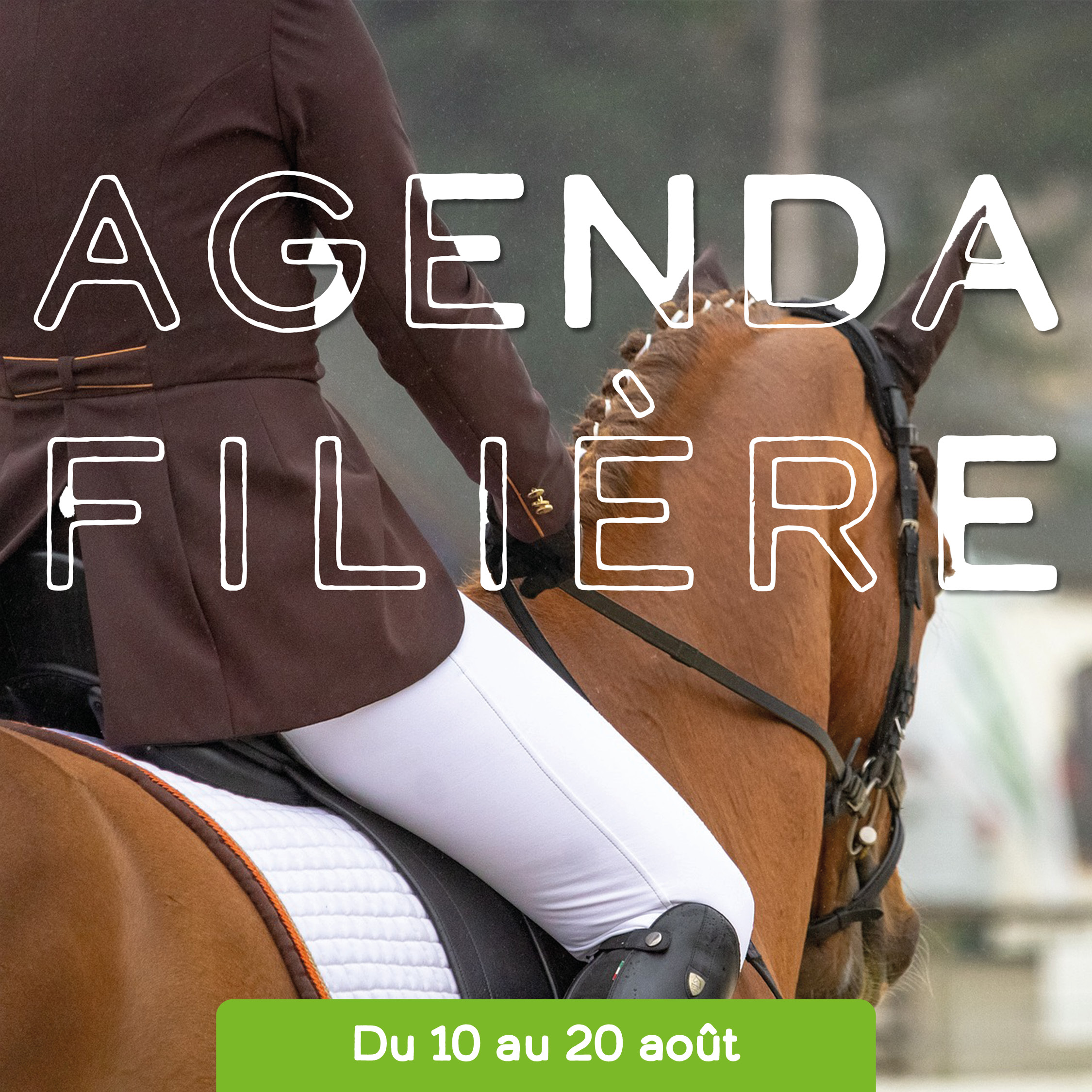 Agenda filière