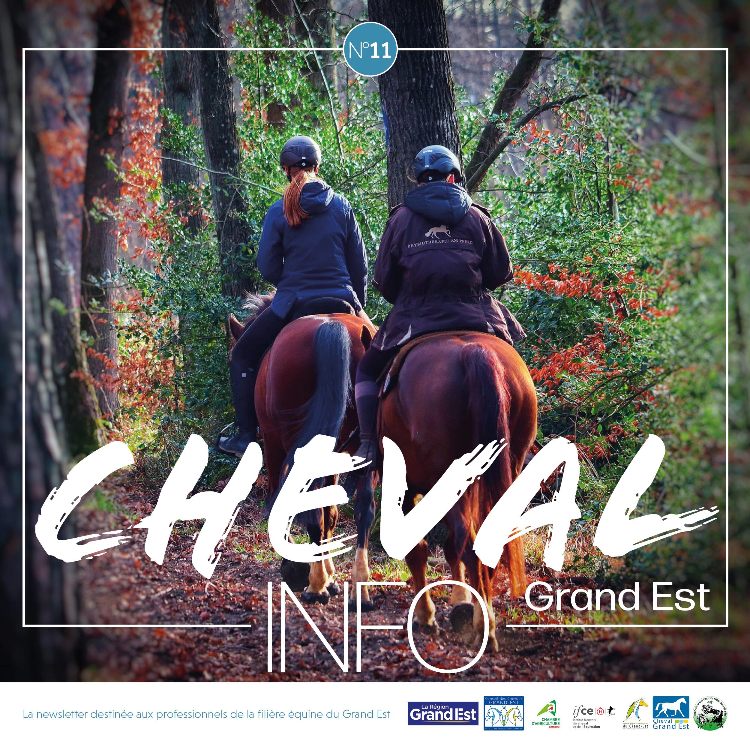 Cheval Grand Est, la newsletter des institutions de la filière équine