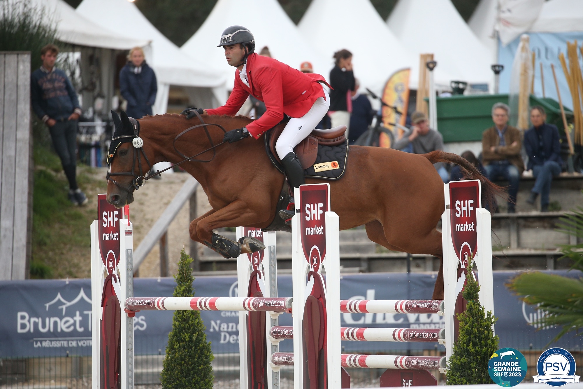 L'élevage du Grand Est sur les podiums en CSO et Hunter à Fontainebleau