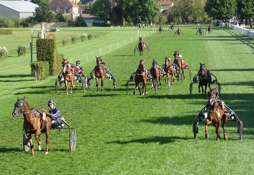 Le Trophée Vert du Trot fait étape à l'Hippodrome de Montier-en-Der dimanche 24 août ! 🏆