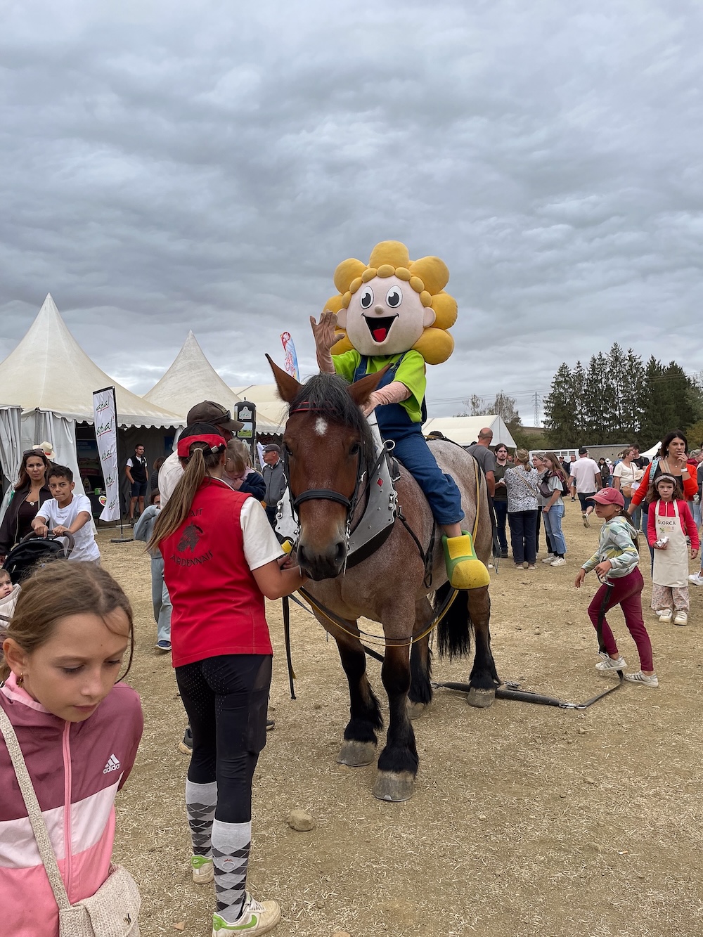 Les Terres de Jim : la filière équine présente lors de la plus grande fête agricole en plein air d'Europe !
