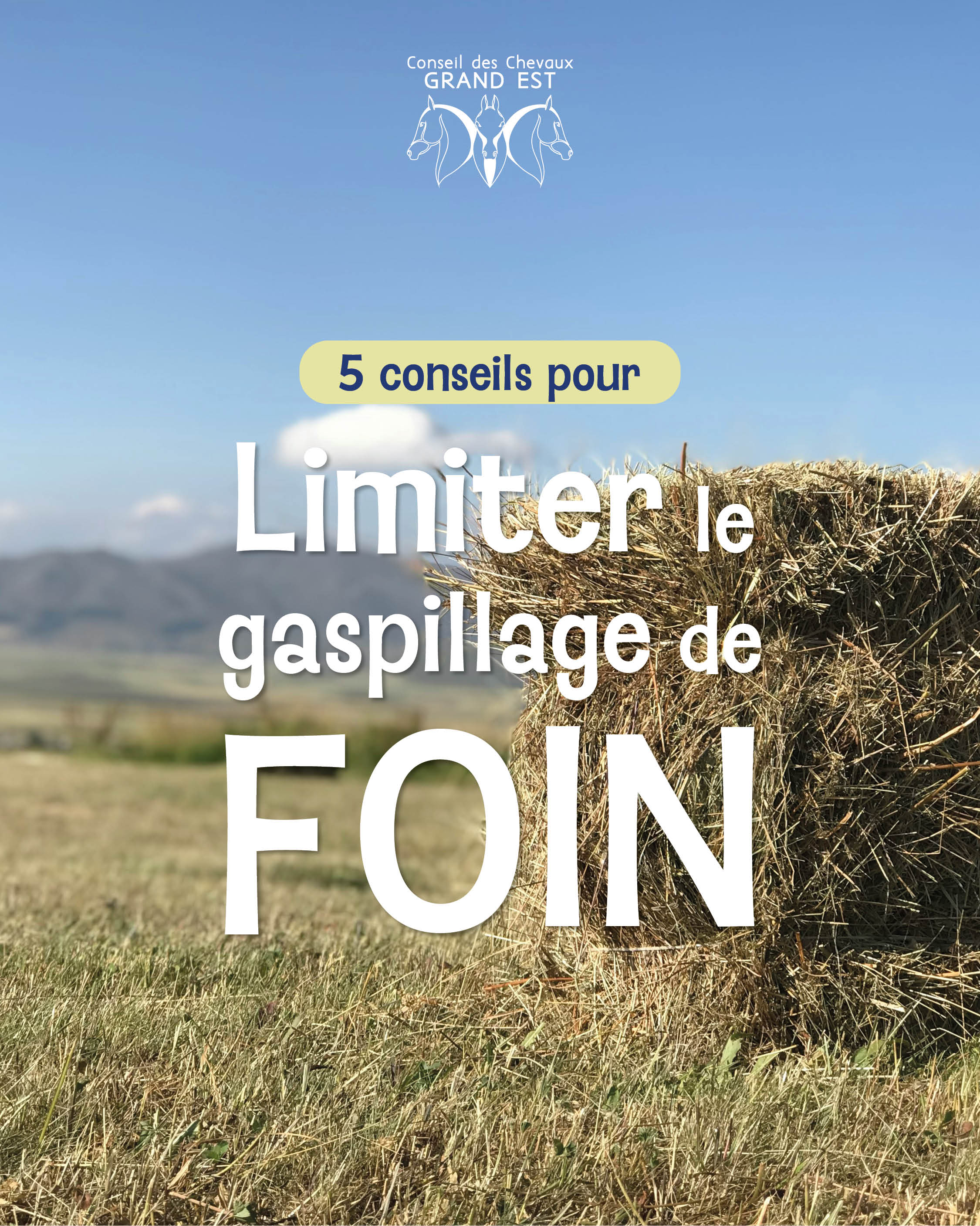 Foin et pâturage : comment limiter le gaspillage en prévision de l'hiver ?