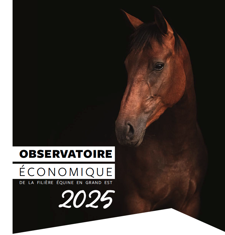 L’Observatoire économique régional est disponible !