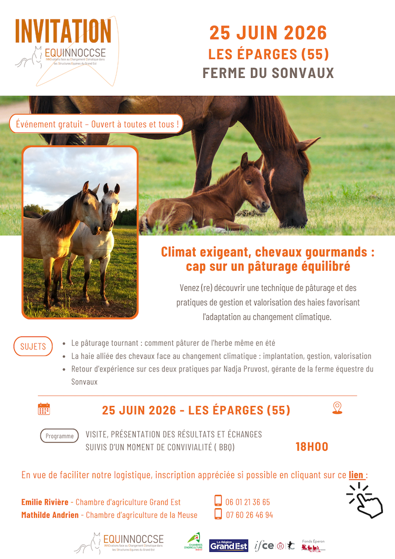 Climat exigeant, chevaux gourmands : cap sur un pâturage équilibré !