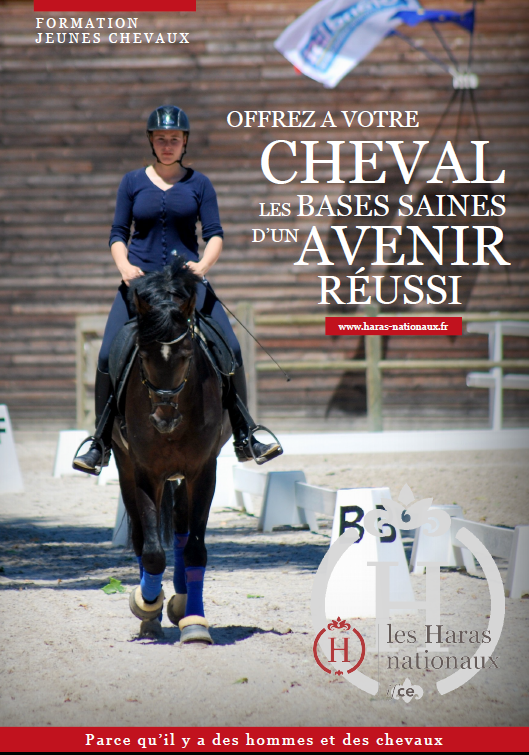 Recrutement chevaux CS jeunes chevaux Rosières