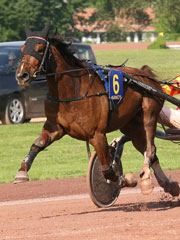 L'Hippodrome de Nancy Brabois est en Fête