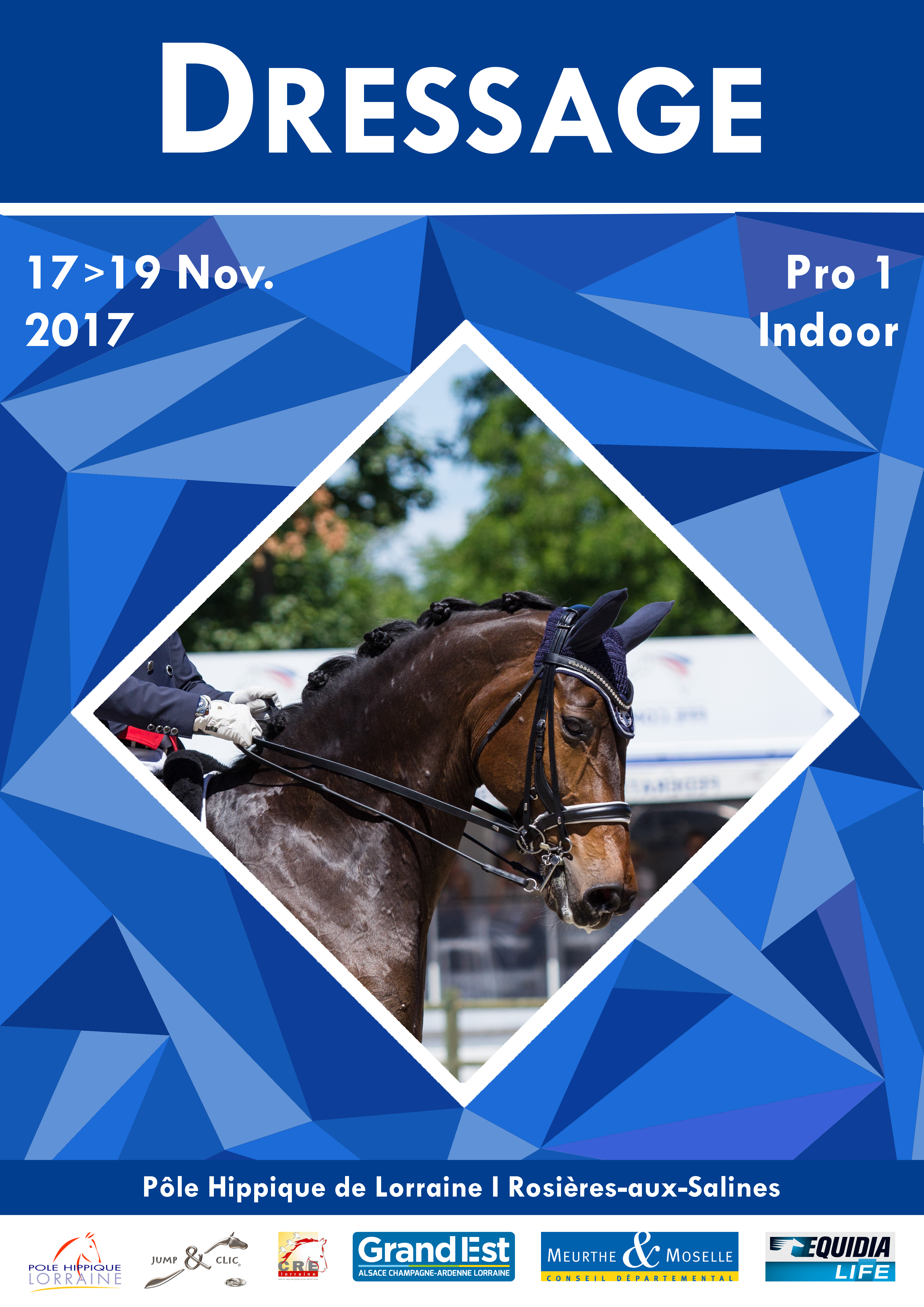 Dressage Pro1 Indoor