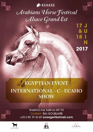 Festival International du Cheval Arabe