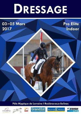 Dressage Pro Elite Indoor